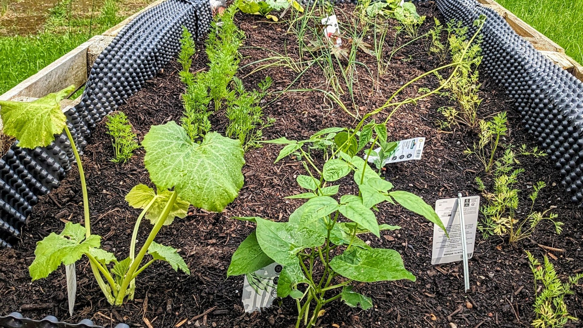 Arbeitsgruppe Garten