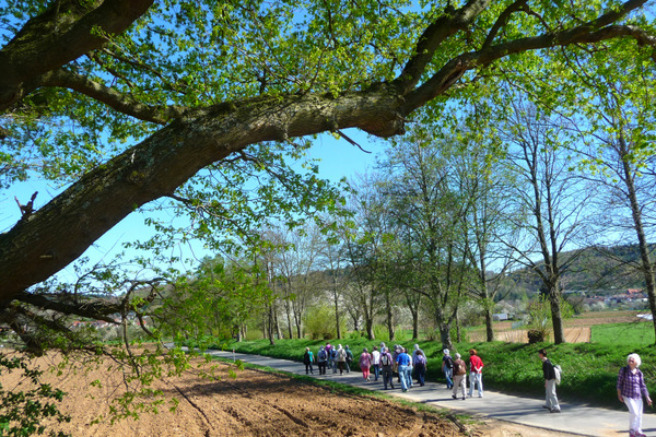 Wandergruppe geht entlang eines Weges